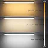 50cm T5/T8 LED Tube Light Bar (15W/25W) - 3000K/4000K/6500K Ceiling Lamp & Fluorescent Tube Replacement for School & Office