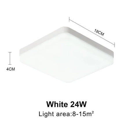 44298822123777|44298822189313|44298822254849|44298822320385