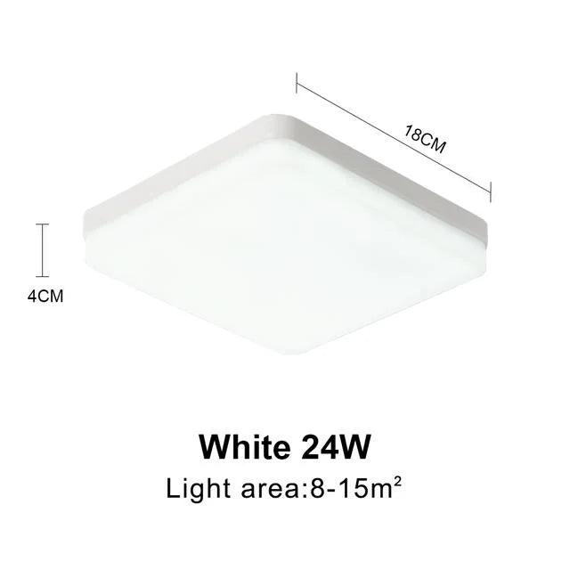 44298822123777|44298822189313|44298822254849|44298822320385