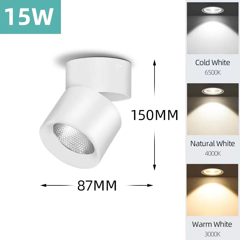 45424583409921|45424583442689|45424583475457