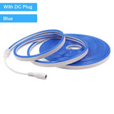 12V/24V Waterproof Flexible LED Neon Strip Light (6x12mm Silicone Rope) - DIY Neon Sign Light with DC Plug / 2-Pin Wire Option