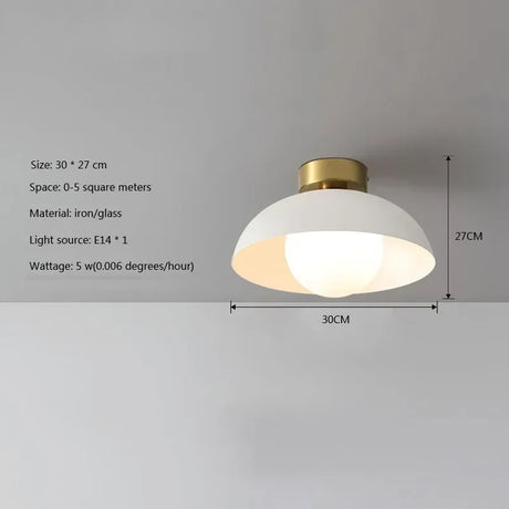 Nordic LED Ceiling Light Minimalist Black White E27 Iron Indoor Decorative Lamp For Bedroom Living Room Study Restaurant Fixture