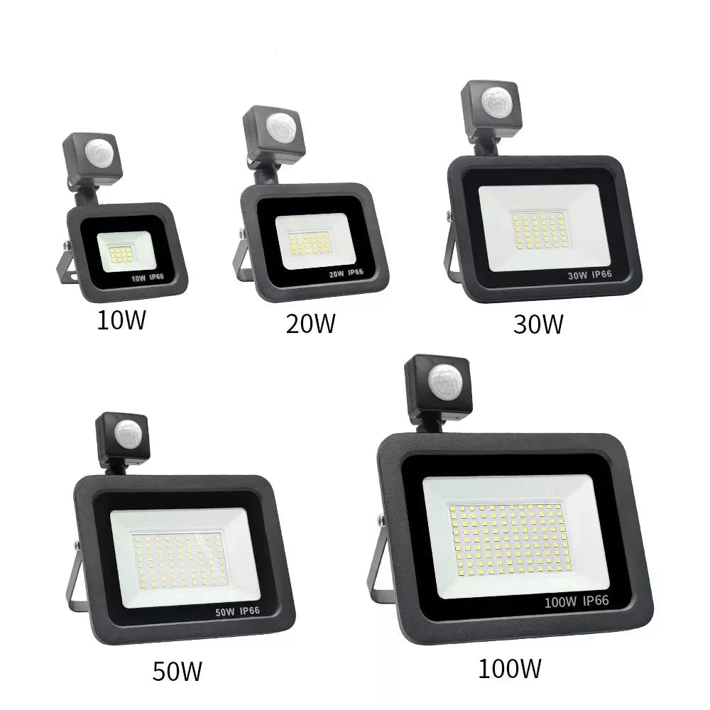 LED PIR motion sensor LED Flood Light Outdoor Led Spotlight LED Projector 220V 100W 50W 30W 20W 10W Outdoor lamp motion detector