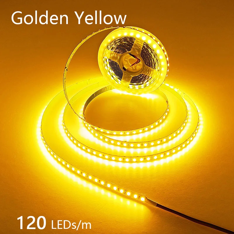 High-Density 2835 LED Strip Light | 5M 300 600 1200 LEDs | DC 12V 24V Tape