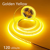 High-Density 2835 LED Strip Light | 5M 300 600 1200 LEDs | DC 12V 24V Tape