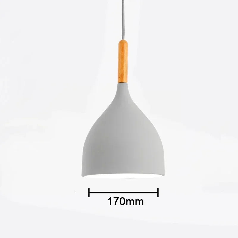 Multi Color Luster Pendant Lights Dia 16/17/24cm Restaurant Wood Hanging lighting Light Fixtures Modern E27 LED Loft Hang lamp