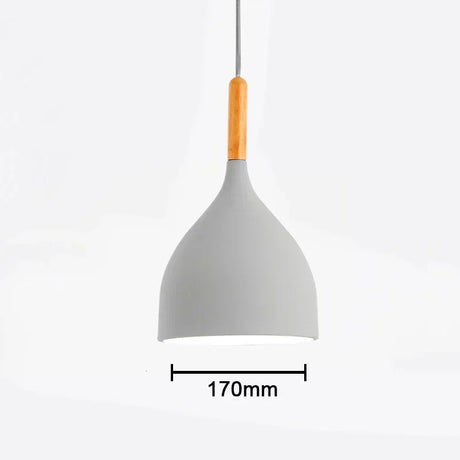 Multi Color Luster Pendant Lights Dia 16/17/24cm Restaurant Wood Hanging lighting Light Fixtures Modern E27 LED Loft Hang lamp