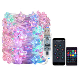 RGB Dream Color USB Christmas Lights - Smart App & Remote Control