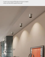 2025 New Surface Mounted Cylindrical LED Downlights Gold Reflector 24W 20W COB Led Ceiling Lamp Spot Lights AC85-260V Bulbs