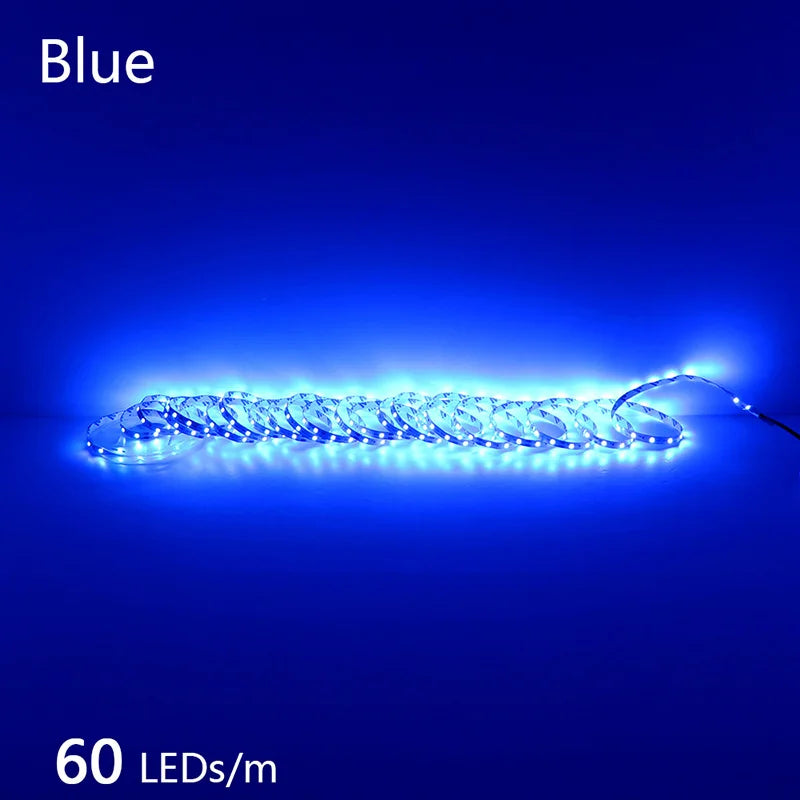 High-Density 2835 LED Strip Light | 5M 300 600 1200 LEDs | DC 12V 24V Tape