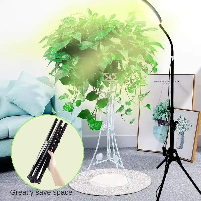 24W Growing Lamp,Floor Plant Light for Indoor Plants,10 Dimmable Brightness,Automatic On/Off Timer,Ideal for Tall Small Plants