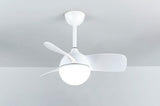 Modern LED Ceiling Fan Light for Kids Bedroom, 6-Speed Variable DC Motor, 24W LED Light, 30/36 inch Ceiling Fans