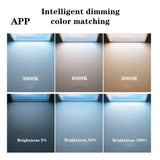 220V New Style Blue Sky Smart Ceiling Lamp for Bathroom Living Room Kitchen Natural Lighting Indoor Decor Remote Control And App