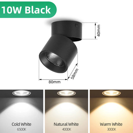 45536442712321|45536442745089|45536442777857|45536442810625