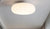 Chandelier Apple LED Modern Ceiling Lights Home Decoration for Living Room Bedroom Hallway Corridor Porch Balcony Indoor Lamps
