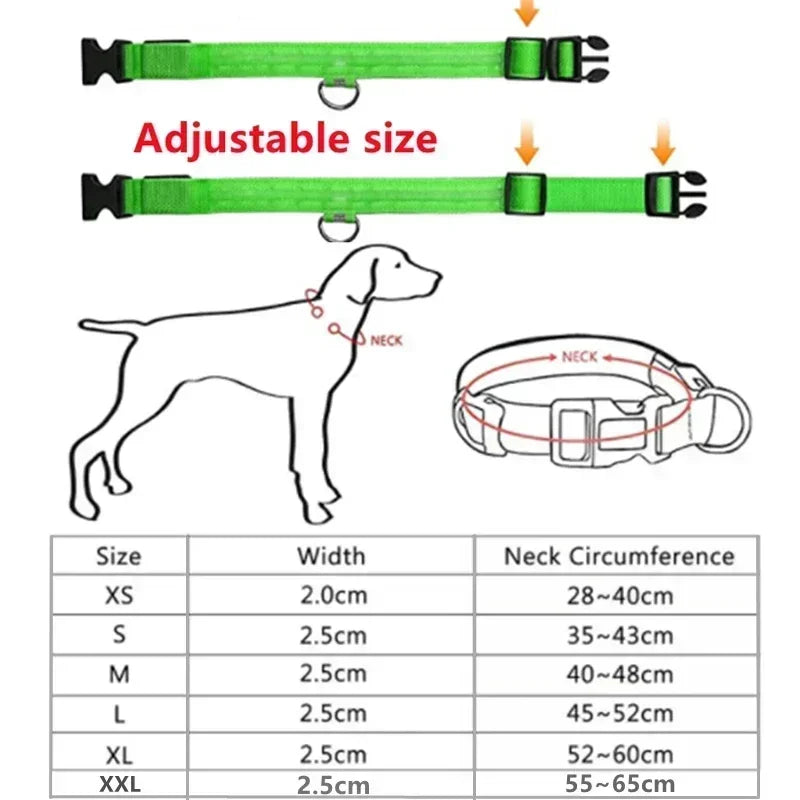 LED Glowing Dog Collar - USB Rechargeable Luminous Night Safety Collar