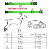 LED Glowing Dog Collar - USB Rechargeable Luminous Night Safety Collar