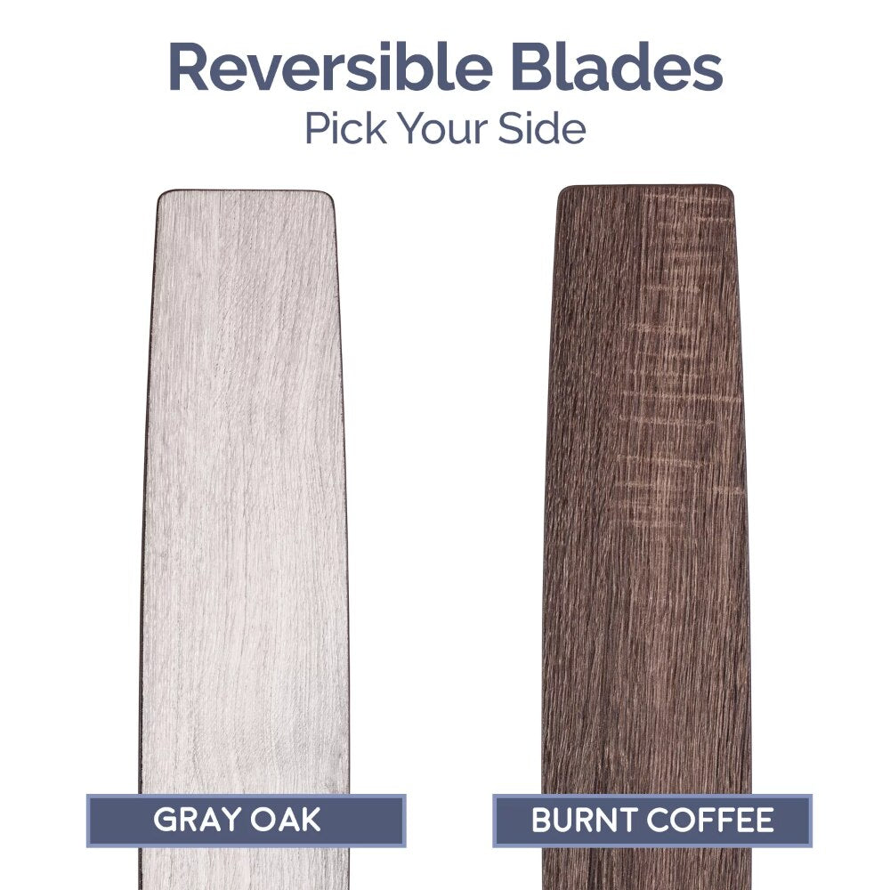 52&quot; Orbis Gun Metal Remote Control Ceiling Fan, 3 Blades, LED Ring Ceiling Fans with Led Light  Chandelier Fan  Home Appliance