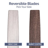 52&quot; Orbis Gun Metal Remote Control Ceiling Fan, 3 Blades, LED Ring Ceiling Fans with Led Light  Chandelier Fan  Home Appliance