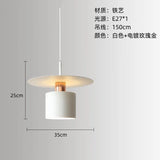 Nordic Minimalist Bedside Pendant Light - Modern Single Head Hanging Lamp