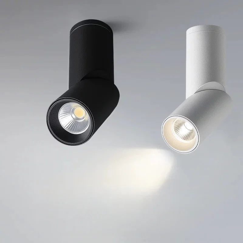 LED Downlights Dimmable 10W 15W 20W 24W Surface Mounted Ceiling Lamps Spot Light Warm /Natural /Cold White  + Driver