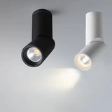LED Downlights Dimmable 10W 15W 20W 24W Surface Mounted Ceiling Lamps Spot Light Warm /Natural /Cold White  + Driver