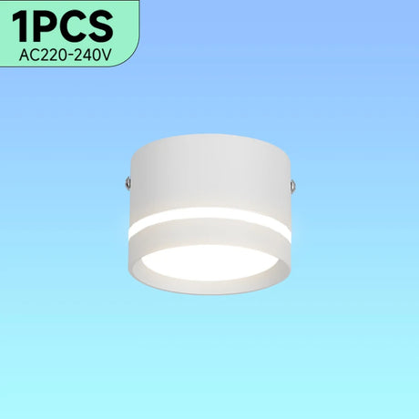 Surface Mounted Ceiling Downlight Lamp Spotlight 5/10/15w Cob Led Spot Lights Ceiling Fixtures Lighting For Bedroom Kitchen Home