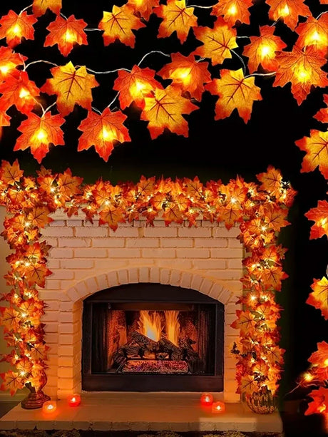 45567601279233|45567601312001|45567601344769