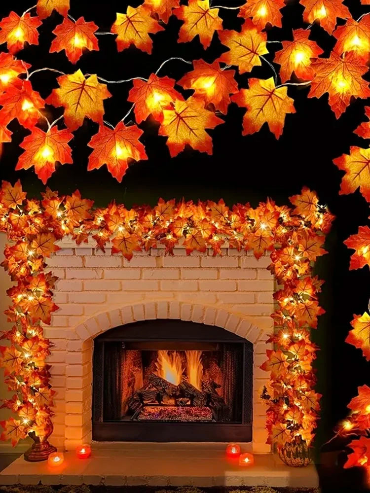 45567601279233|45567601312001|45567601344769