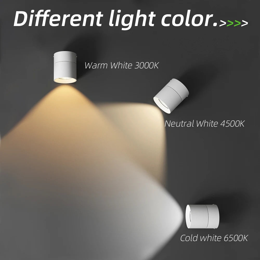 Spot Led Downlight 220v 3 colors dimmable LED spotlights Ceiling lamp surface mounted Down light for Store Home Bedroom Bathroom
