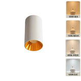 2025 New Surface Mounted Cylindrical LED Downlights Gold Reflector 24W 20W COB Led Ceiling Lamp Spot Lights AC85-260V Bulbs