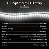 Ra98 Full Spectrum Led Strip Light 24V 10M 5M SMD2835 120LEDs Flexible Led Tape Ribbon Lamp 24 volt High CRI Flexible Lighting