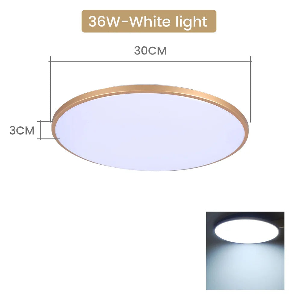 44216241553665|44216241586433|44216241619201