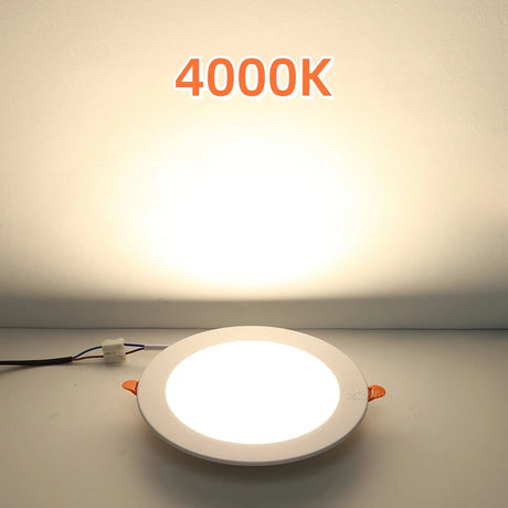 45437004480769|45437004579073|45437004677377|45437004742913