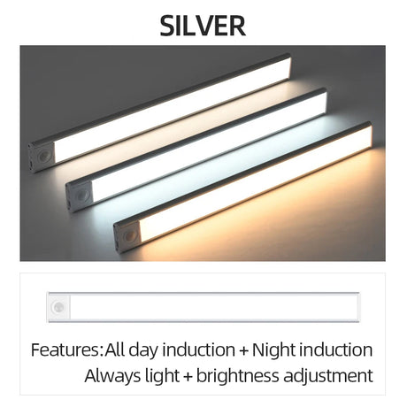 Night Light 20/30/40/60cm Ultra thin LED Light Cabinet Light Motion Sensor Wireless type-c For Kitchen bedroom Wardrobe lighting