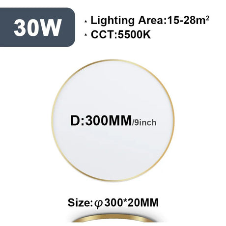 2CM Ultrathin LED Ceiling Lamps in Living Room Bedroom Natural Light Gold Black White Moisture and mosquito proof Ceiling Lights