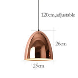 Nordic Rose Gold Pendant Lights Plated Metal Hanging Lamp Fixtures Dining Room Kitchen Island Bar Cafe's Indoor Decors Lighting E27