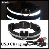 LED Glowing Dog Collar - USB Rechargeable Luminous Night Safety Collar