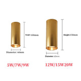 Modern LED ceiling lamp 110V/220V household pendant lamp 12W dimmable COB clothing commercial lighting spotlight