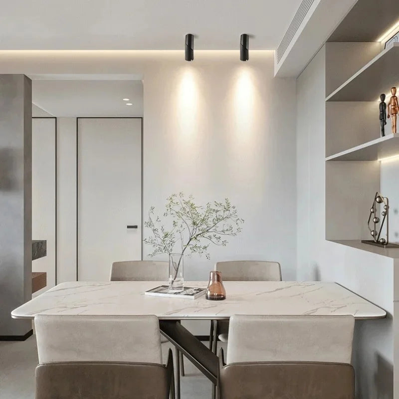 LED Downlights Dimmable 10W 15W 20W 24W Surface Mounted Ceiling Lamps Spot Light Warm /Natural /Cold White  + Driver