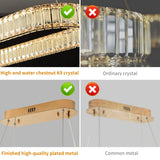 Oval gold pendant lamp, modern crystal pendant lamp, restaurant lighting fixture, pendant lamp, ceiling, living room