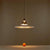 Denmark Flying Saucer Pendant Light Scandinavian Restaurant Study Bedroom Lamp Luxury Ufo Home Decors Indoor Lighting Fixture E27
