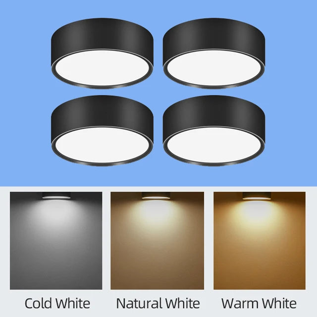 45401443893505|45401443959041|45401443991809|45401446220033|45401446252801|45401446285569|45401446318337|45401446383873|45401446482177|45401446514945|45401446547713|45401446580481|45401446613249|45401446646017|45401446678785