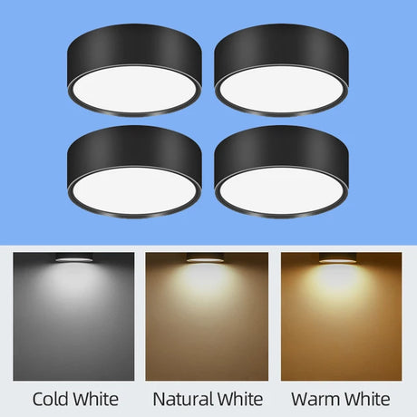 45401443893505|45401443959041|45401443991809|45401446220033|45401446252801|45401446285569|45401446318337|45401446383873|45401446482177|45401446514945|45401446547713|45401446580481|45401446613249|45401446646017|45401446678785