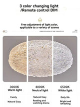 Minimalist Resin Ceiling Light Gold Luxury Led for Bedroom Living Room Decor 40cm 50cm 60cm Round Ceiling Lamp