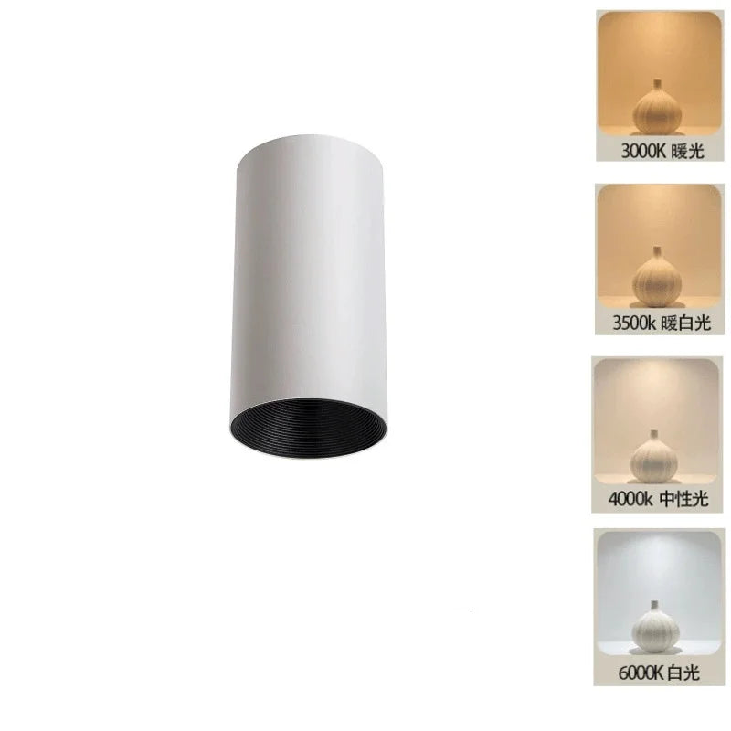 2025 New Surface Mounted Cylindrical LED Downlights Gold Reflector 24W 20W COB Led Ceiling Lamp Spot Lights AC85-260V Bulbs
