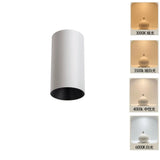 2025 New Surface Mounted Cylindrical LED Downlights Gold Reflector 24W 20W COB Led Ceiling Lamp Spot Lights AC85-260V Bulbs