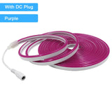 12V/24V Waterproof Flexible LED Neon Strip Light (6x12mm Silicone Rope) - DIY Neon Sign Light with DC Plug / 2-Pin Wire Option