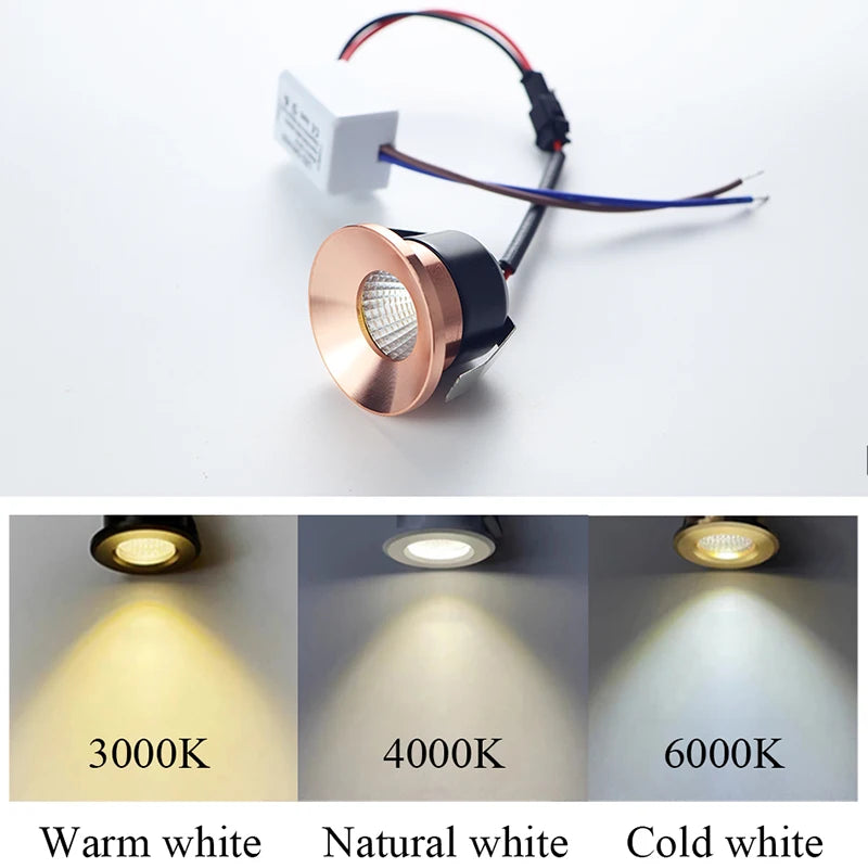 3W  Aluminum Round LED Dimmable Ceiling Downlight  AC110V 220V Recessed LED Spot Light Led Bulb Cutout 30mm With Driver