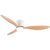 Modern Led Ceiling Fan Without Lights DC Motor 6 Speeds Timing Fans 20CM Low Floor Loft Remote Control Decorative Fan With Light